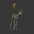 Elk Skeleton Model with Golden Antlers Displayed on Dark Reflective Background