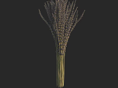 Fresh Lavender Flower Bouquet Arranged in Glass Vase for Home Decor 3d model