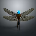 Detailed 3D Dragonfly Model With Blue Head Brown Body And Net Like Wings