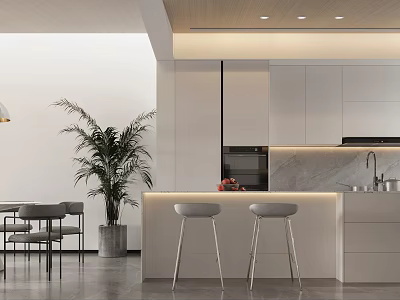 Modern Living Dining Room Interior With Open Concept Island Counter Dining Table And Potted Plant 3d model