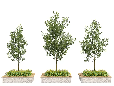 Modern Tree Planter with Wooden Stone Borders Multiple Trees and Green Plants 3d model