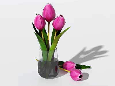 Pink Tulips in Transparent Glass Vase with Fallen Blooms on White Background 3d model