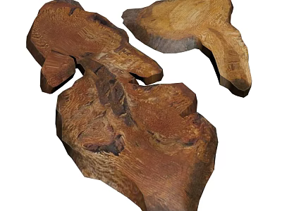 Natural Plant Wood Pieces With Rustic Brown Texture And Organic Shape 3d model