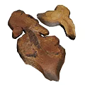 Natural Plant Wood Pieces With Rustic Brown Texture And Organic Shape
