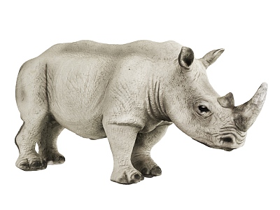 Modern Rhino White Rhino White Rhino model