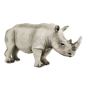 Modern Rhino White Rhino White Rhino 3d model