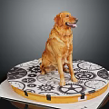 Golden Retriever Dog Sitting On Round Mat With Gear Patterns Against Black Background