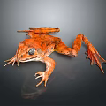 Frog Frog Frog Poison Frog Game Frog Reptile Cold Blooded Animal Reptile Reptile 3d model
