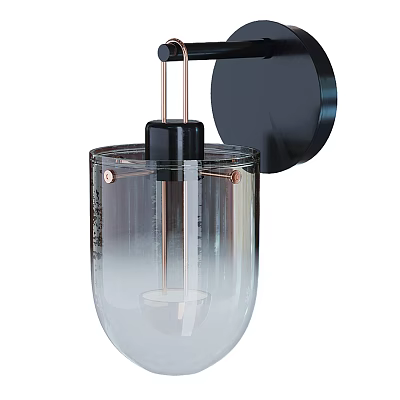 Modern Wall Lamp With Transparent Glass Shade And Black Metal Base 3d model