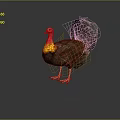 Flying Turkey With Red Head Yellow Red Neck Brown Feathers Fanned Tail on Gray Background