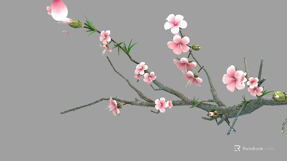 Graceful Tree With Pink Flowers Green Leaves And Delicate Branches In Bloom 3d model 