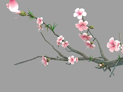 Graceful Tree With Pink Flowers Green Leaves And Delicate Branches In Bloom 3d model