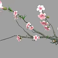 Graceful Tree With Pink Flowers Green Leaves And Delicate Branches In Bloom