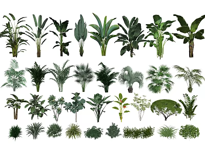 Various Types Of Green Plants With Different Leaf Forms And Indoor Outdoor Varieties 3d model