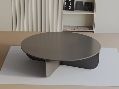 Modern Sofa and Coffee Table Set with Round Gray Table White Shutters and Shelf Decor 3d model