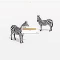 Two Zebras With Black And White Stripes Standing On White Background