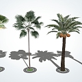 Modern Palm Tree Landscape Tree Palm 3d model