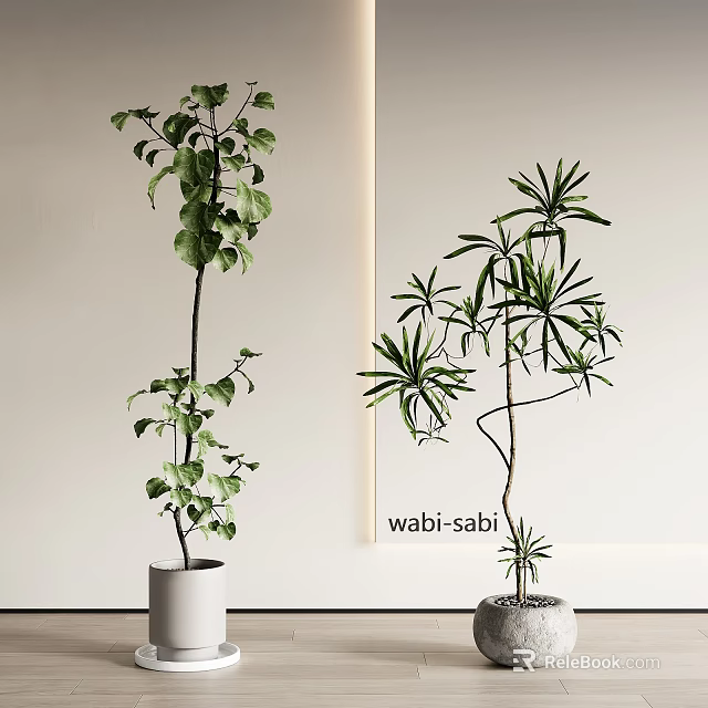 Wabi Sabi Bonsai Plants With Different Leaf Shapes In Indoor Home Decor 3d model 