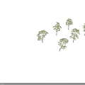 Six Arbor Trees with Green Foliage and Trunks in Various Growth Forms 3d model