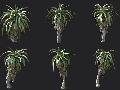 Exotic Succulent Plants With Long Green Leaves And Thick Stems In Group Arrangement 3d model