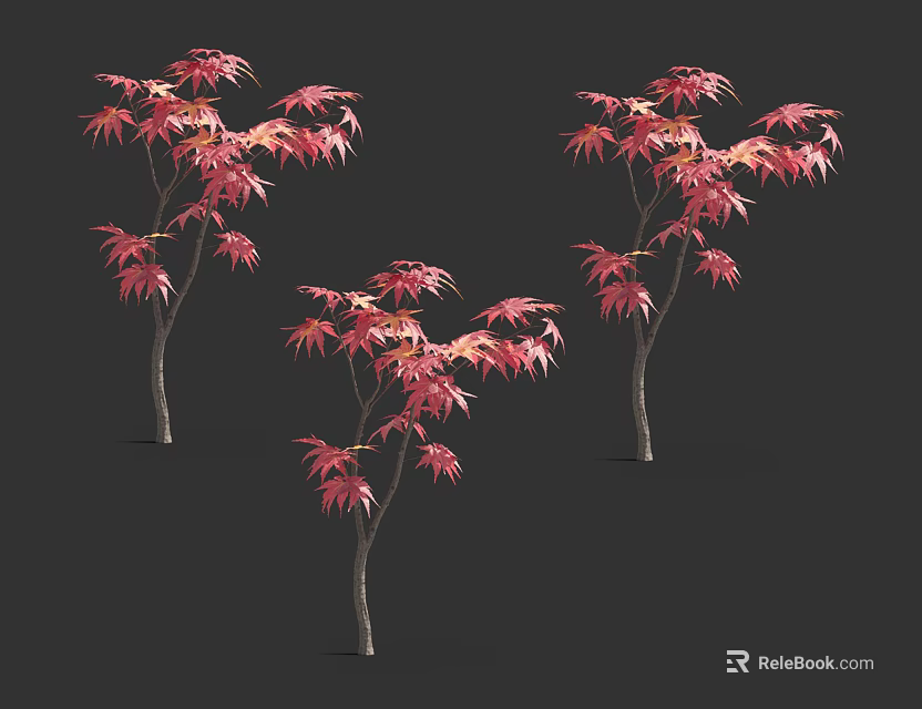 Three Arbor Trees With Red Leaves Slender Trunks And Lush Foliage 3d model 