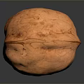 Whole Walnut Kernel With Natural Brown Shell And Smooth Surface