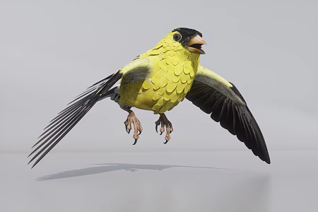 Golden finch bird 3d model