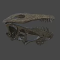 Dinosaur Skull Fossil With Detailed Skeletal Structure And Sharp Teeth On Black Background