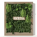 AVEDA Living Plant Wall Decor with Lush Green Foliage and Brand Signage