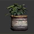 Indoor Potted Plant With Green Leaves In Ceramic Pot And Spiral Design And Saucer Base