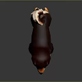 Shiba Inu 3D Model with Brown and White Fur Standing on Dark Background with Reflection