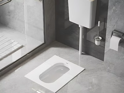 Modern Squat Toilet in Contemporary Bathroom with Grey Tiles Glass Shower and Toilet Accessories 3d model