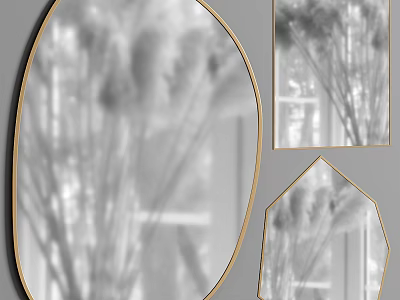 Geometric Shaped Mirrors With Gold Frame Reflecting Interior Plants And Decor 3d model