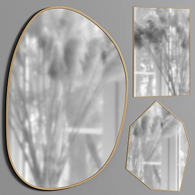 Geometric Shaped Mirrors With Gold Frame Reflecting Interior Plants And Decor 3d model