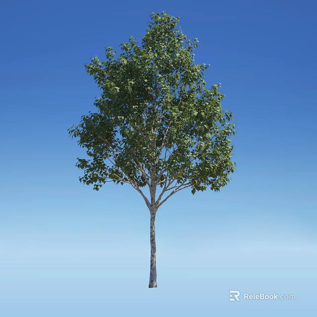 Tall Arbor Tree With Lush Green Leaves Against Blue Sky Backdrop 3d model