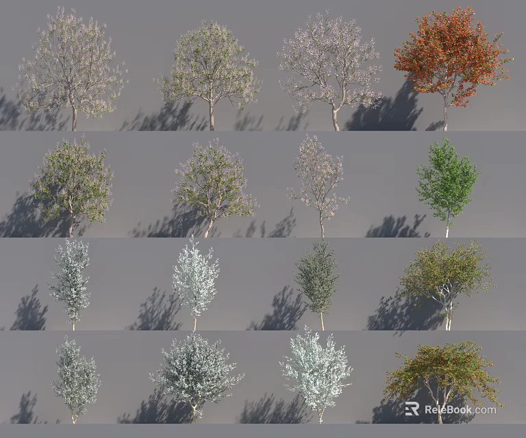 Various Arbor Trees Showcasing Diverse Leaf Colors And Natural Growth Shapes 3d model 