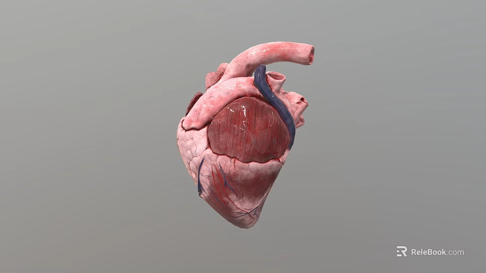 Heart Shaped Food Decorations With Fresh Ingredients And Creative Design 3d model 