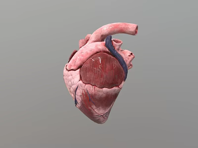 Heart Shaped Food Decorations With Fresh Ingredients And Creative Design 3d model
