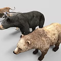 Collection of Various Animal Models Including Lion Boar Bear Bird and Turtle