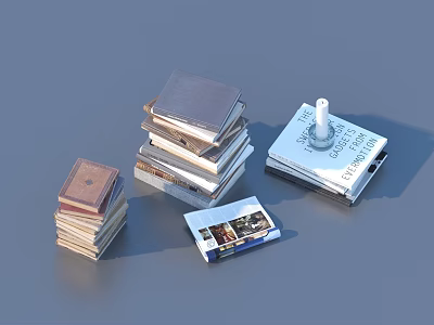 Assorted Stacks of Books and Open Magazine with Colored Covers and Layouts 3d model