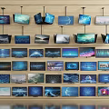 Wall Mounted TVs in Various Models and Sizes Displaying Colorful Screen Visuals 3d model