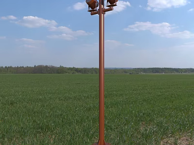Brown Outdoor Light Lamp Post With Two Heads In Green Field Under Blue Sky 3d model