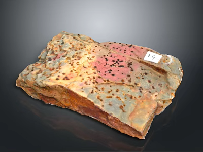 Wooden Stone Slab With Natural Speckled Pink Brown Gray Colors And Label 12 3d model