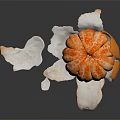 Peeled Tangerine With Exposed Flesh And Surrounding Peel On Black Background