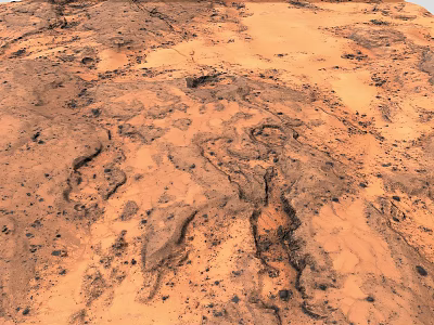 Vast Reddish Brown Desert Landscape With Sandy Dunes Natural Textures And Winding Paths 3d model