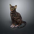 Striped Cat With Bright Green Eyes Sitting On Gray Background In Studio Light