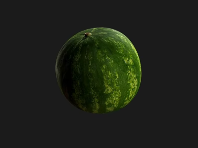 Fresh Ripe Green Striped Watermelon Fruit Isolated on Black Background 3d model