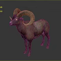 Wild Ram With Large Curved Horns And Brown Fur Standing On Gray Background
