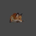 Realistic 3D Model of a Brown Fox Lying Down on Gray Background