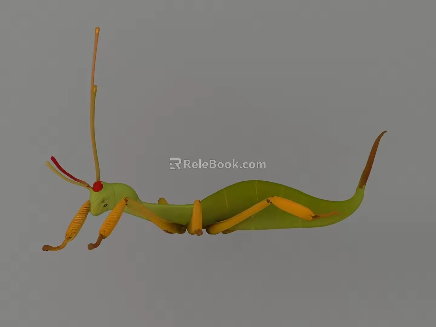 stick insect 3d model
